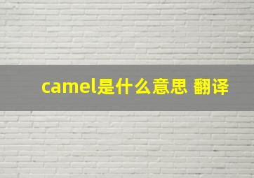 camel是什么意思 翻译